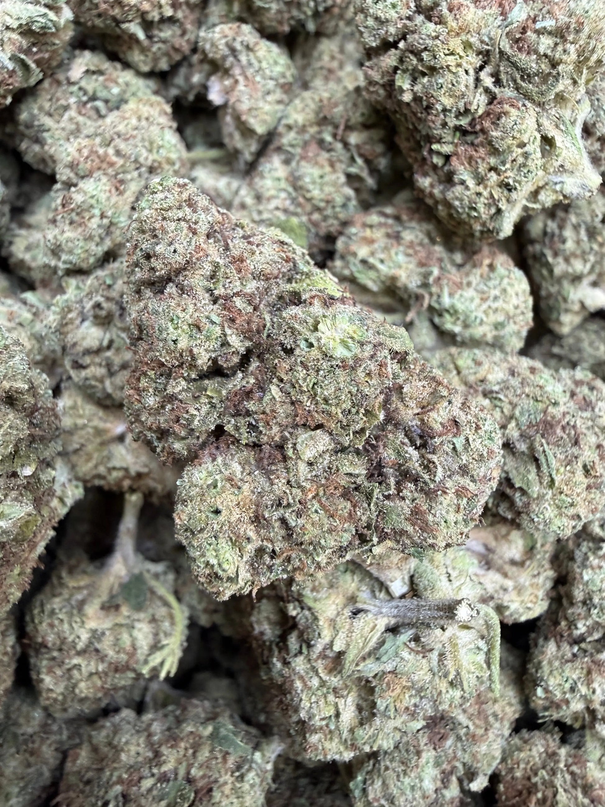 1 Pound -  Cream Pop Punch Strain Frisco Labs