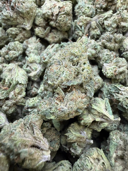 1 Pound -  Cream Push Pop Strain (Small) Frisco Labs