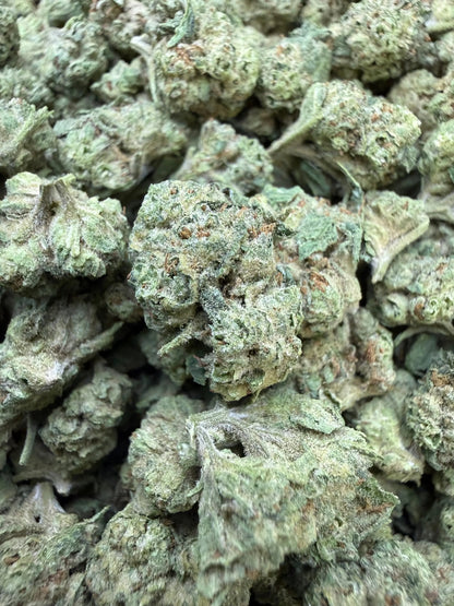 1 Pound -  Cream Push Pop Strain (Small) Frisco Labs