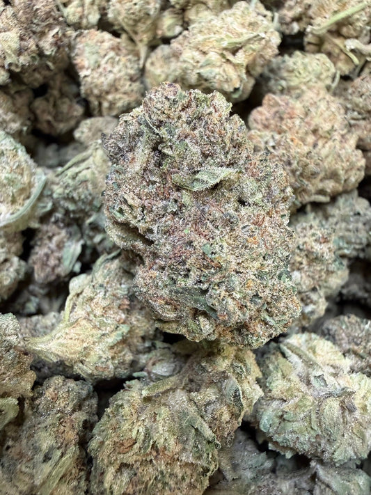 1 Pound - Cyro Cookies THCA Strain Frisco Labs