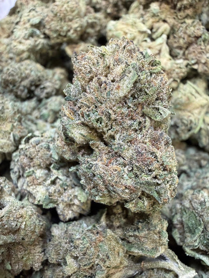 1 Pound - Cyro Cookies THCA Strain Frisco Labs