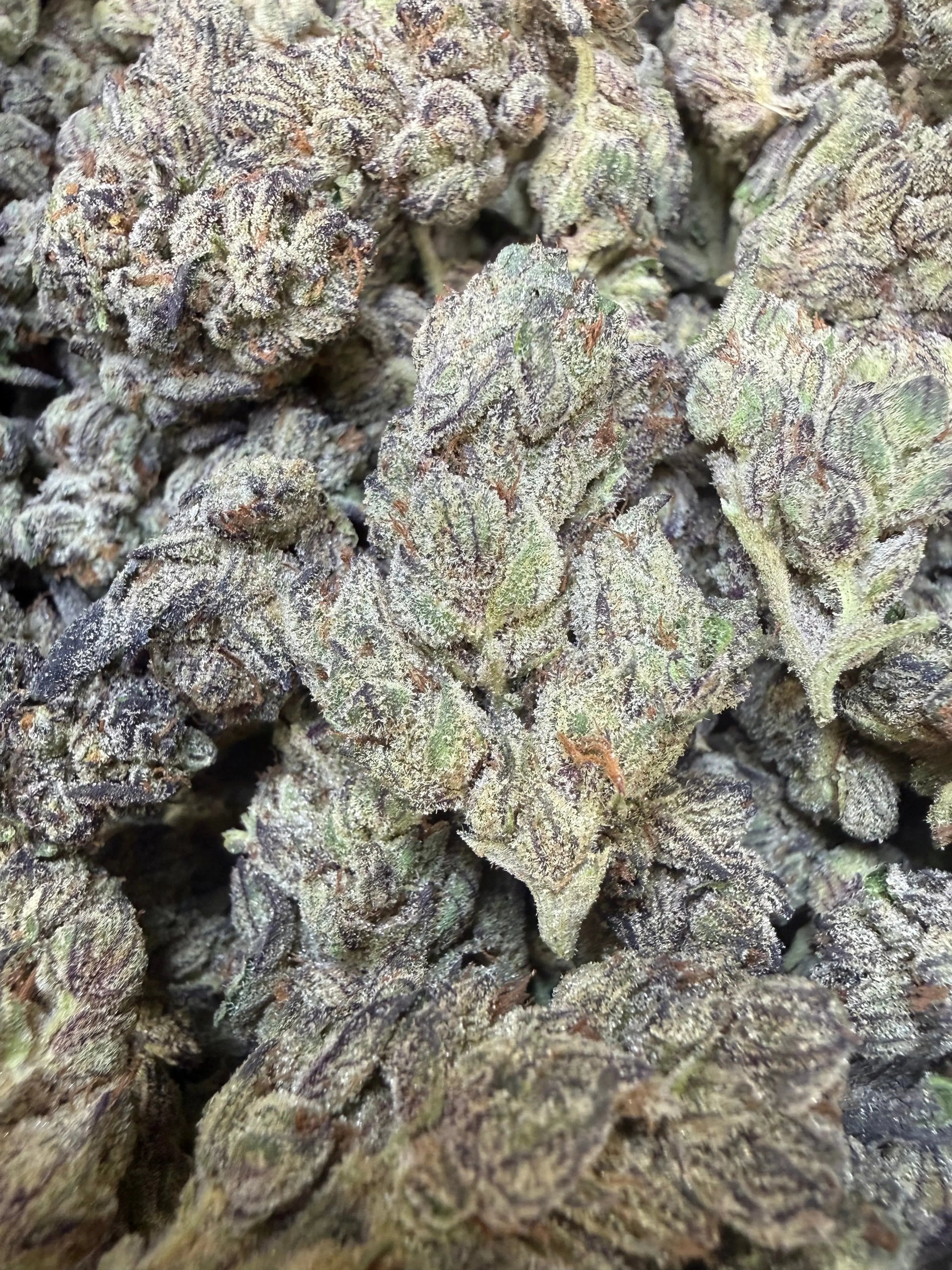 1 Pound - Deep Freeze THCA Strain Frisco Labs