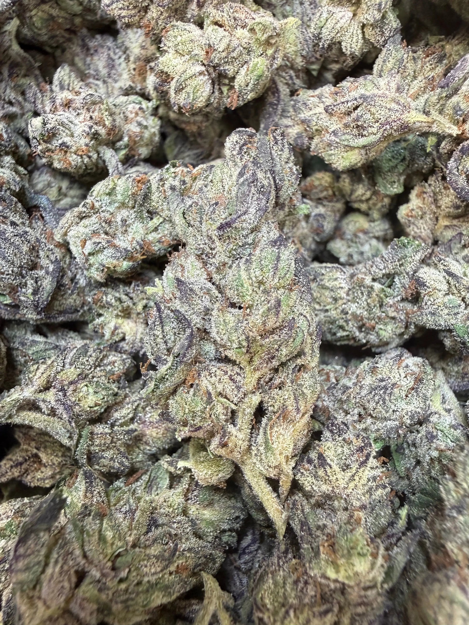 1 Pound - Deep Freeze THCA Strain Frisco Labs