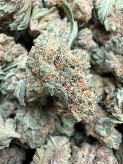 1 Pound - Double Burger THCA Strain (Small) Frisco Labs