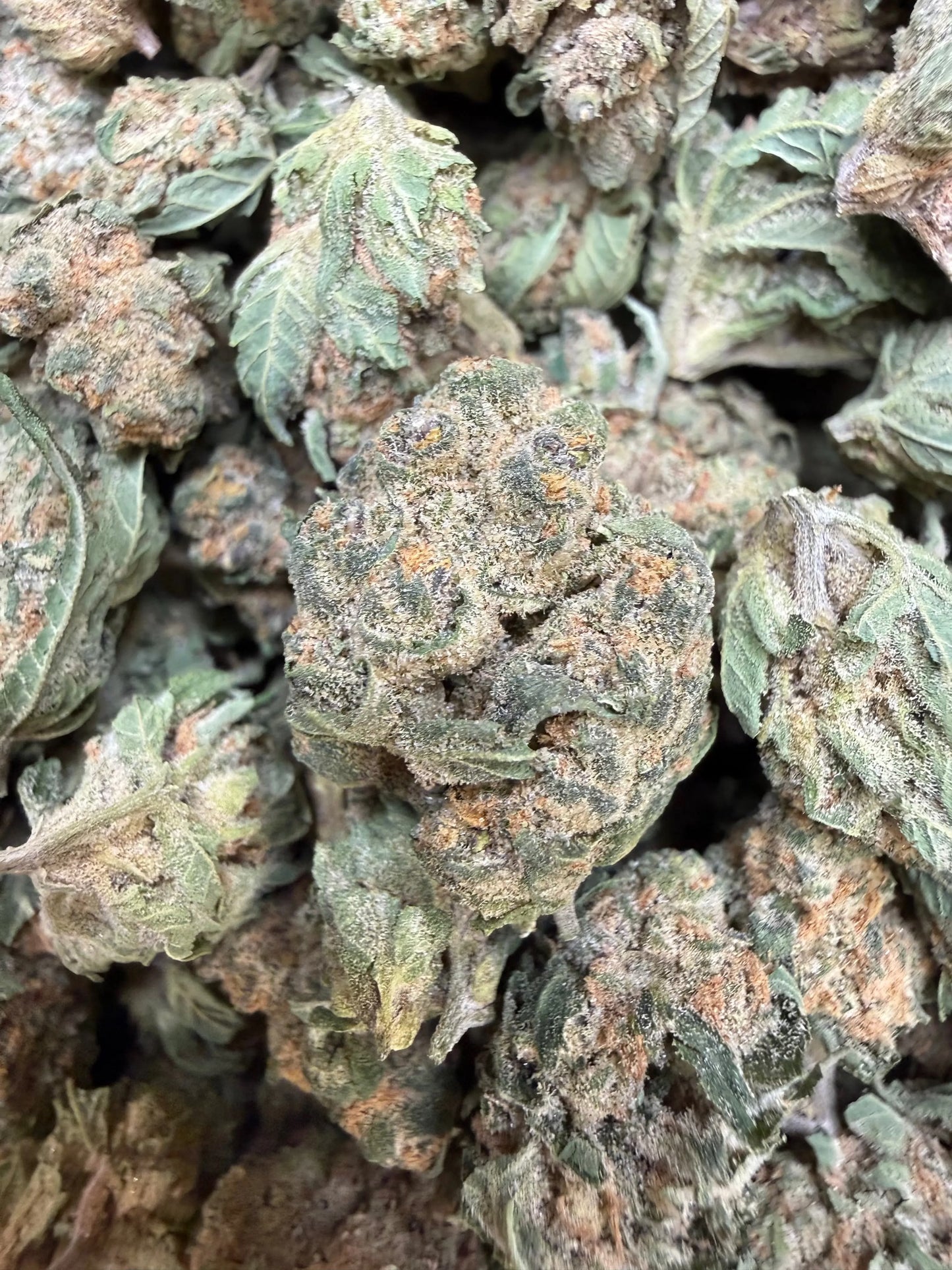 1 Pound - Double Burger THCA Strain (Small) Frisco Labs