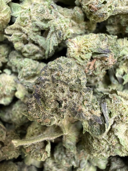 1 Pound - Double Burger THCA Strain (Small) Frisco Labs