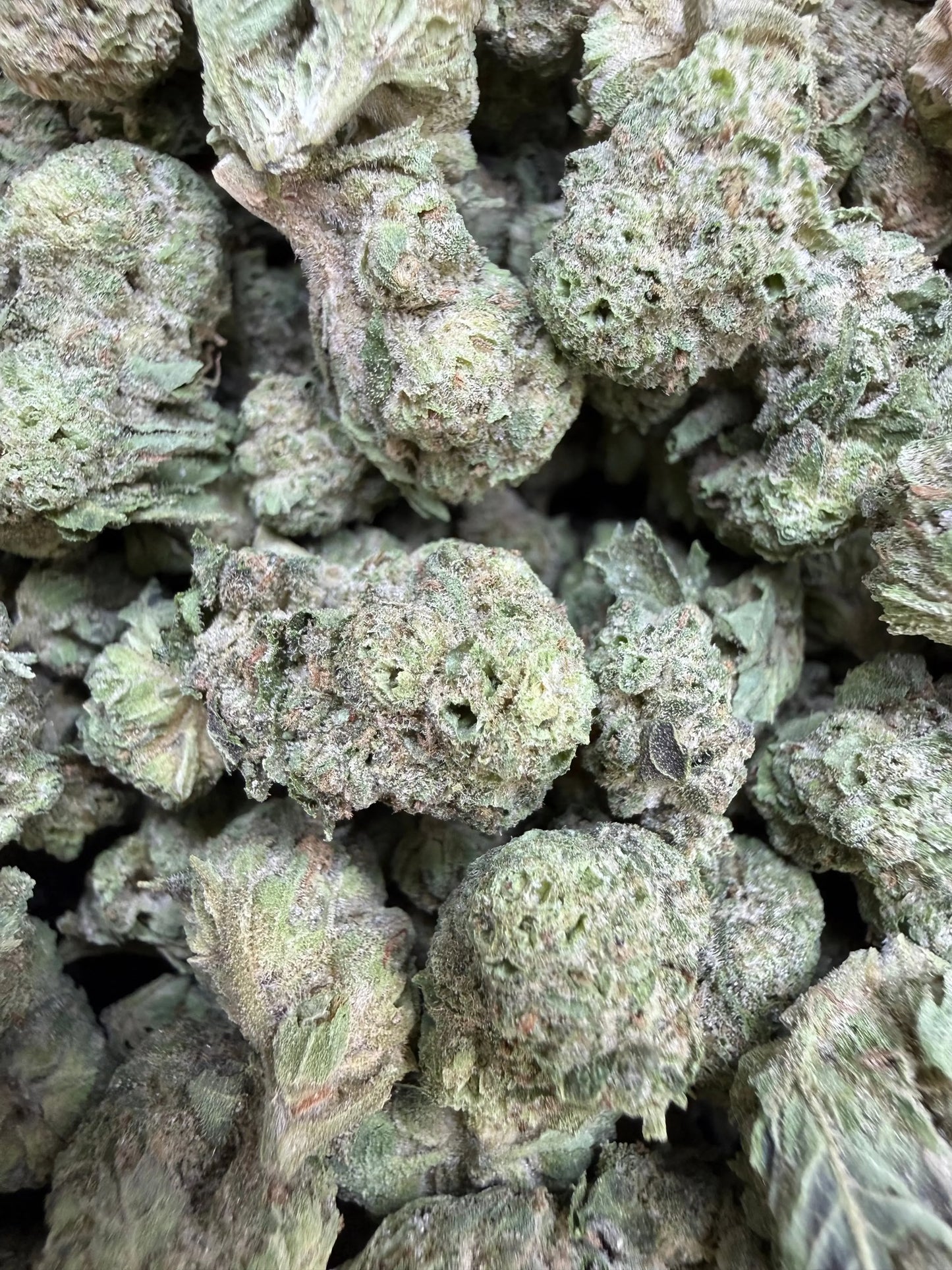 1 Pound - Double Burger THCA Strain (Small) Frisco Labs