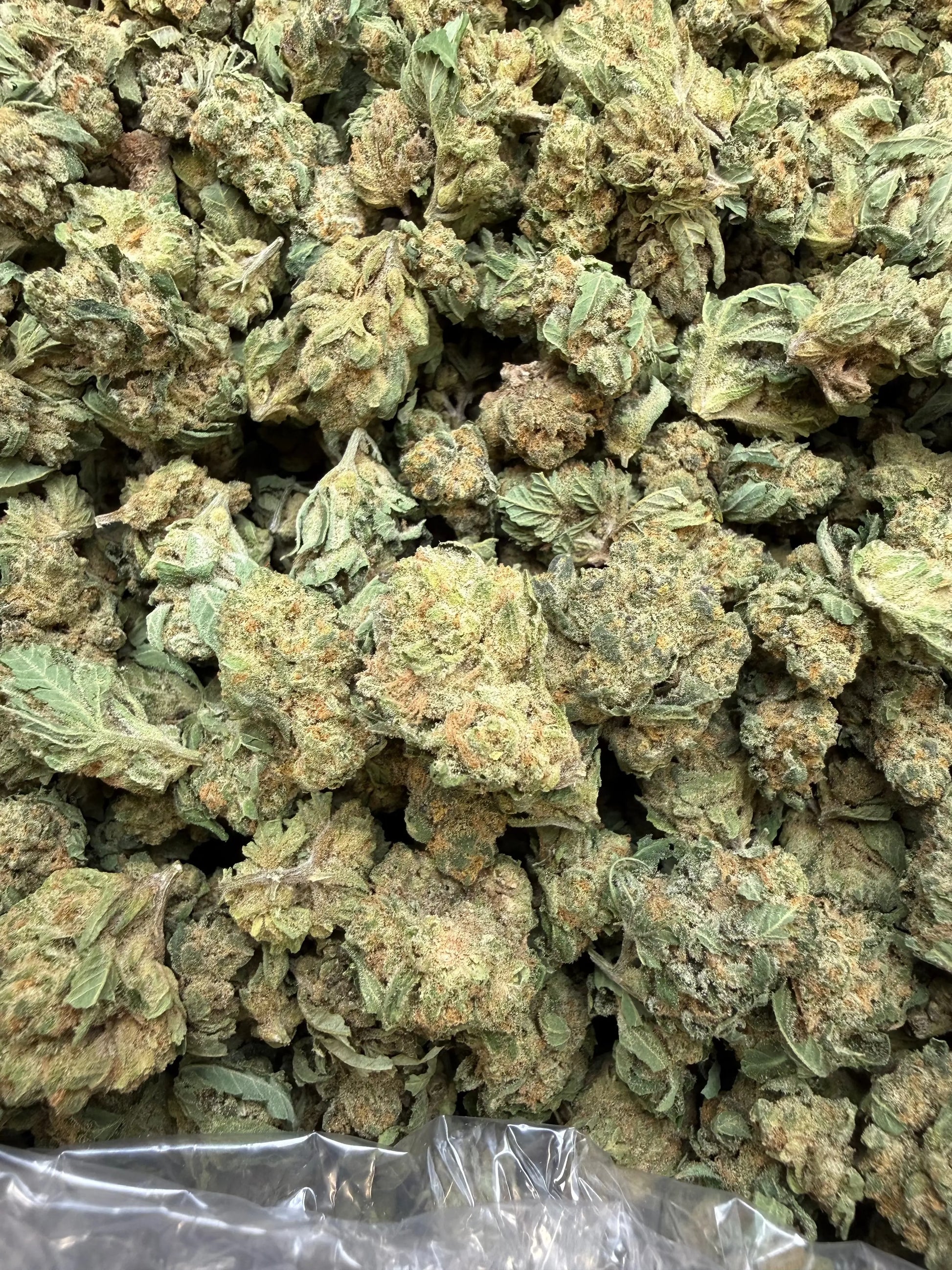 1 Pound - Double Burger THCA Strain (Small) Frisco Labs