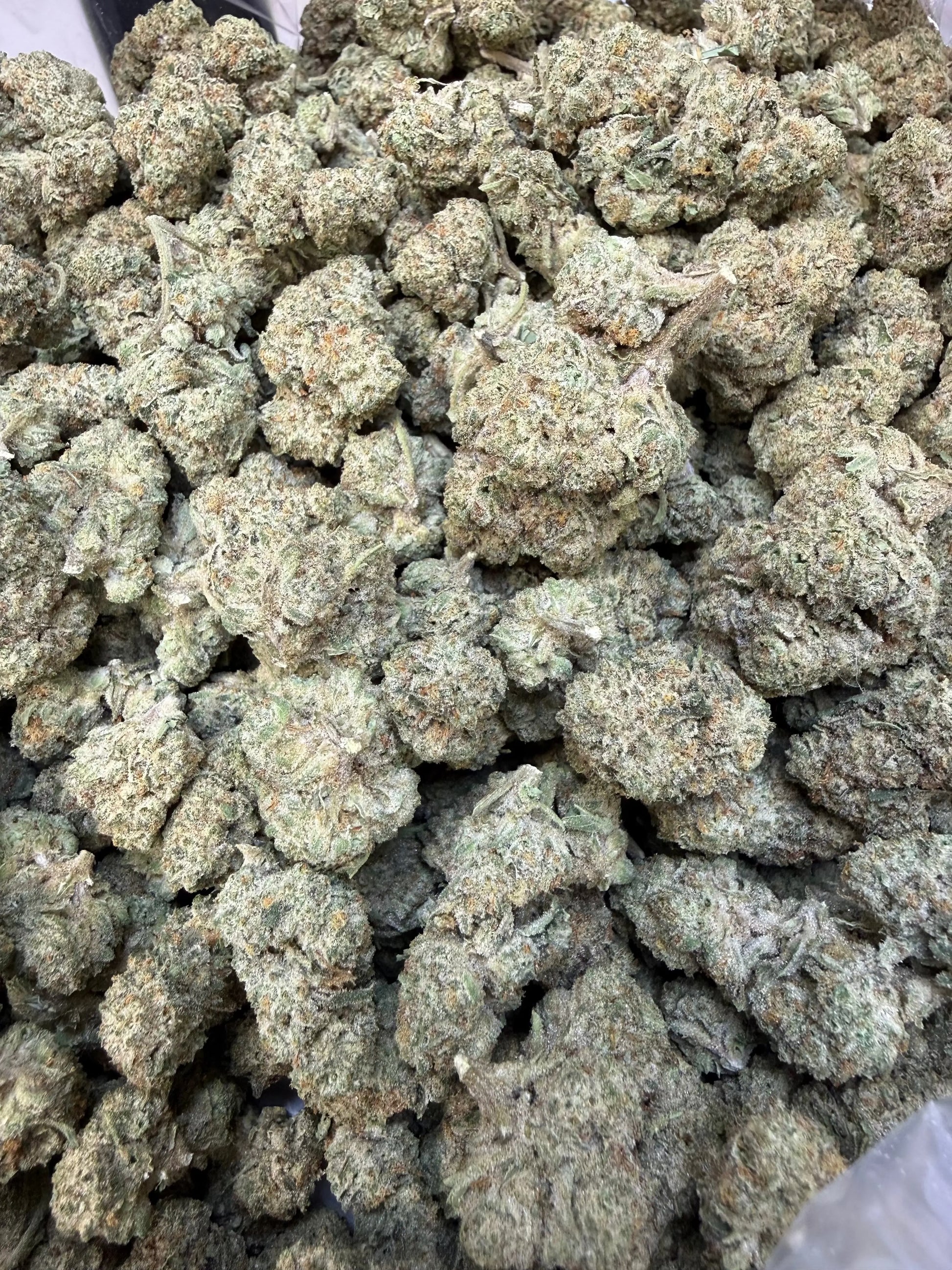 1 Pound - Dough Boy THCA Strain Frisco Labs