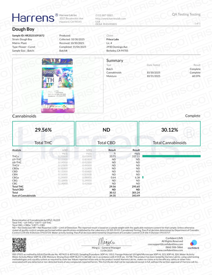1 Pound - Dough Boy THCA Strain Frisco Labs
