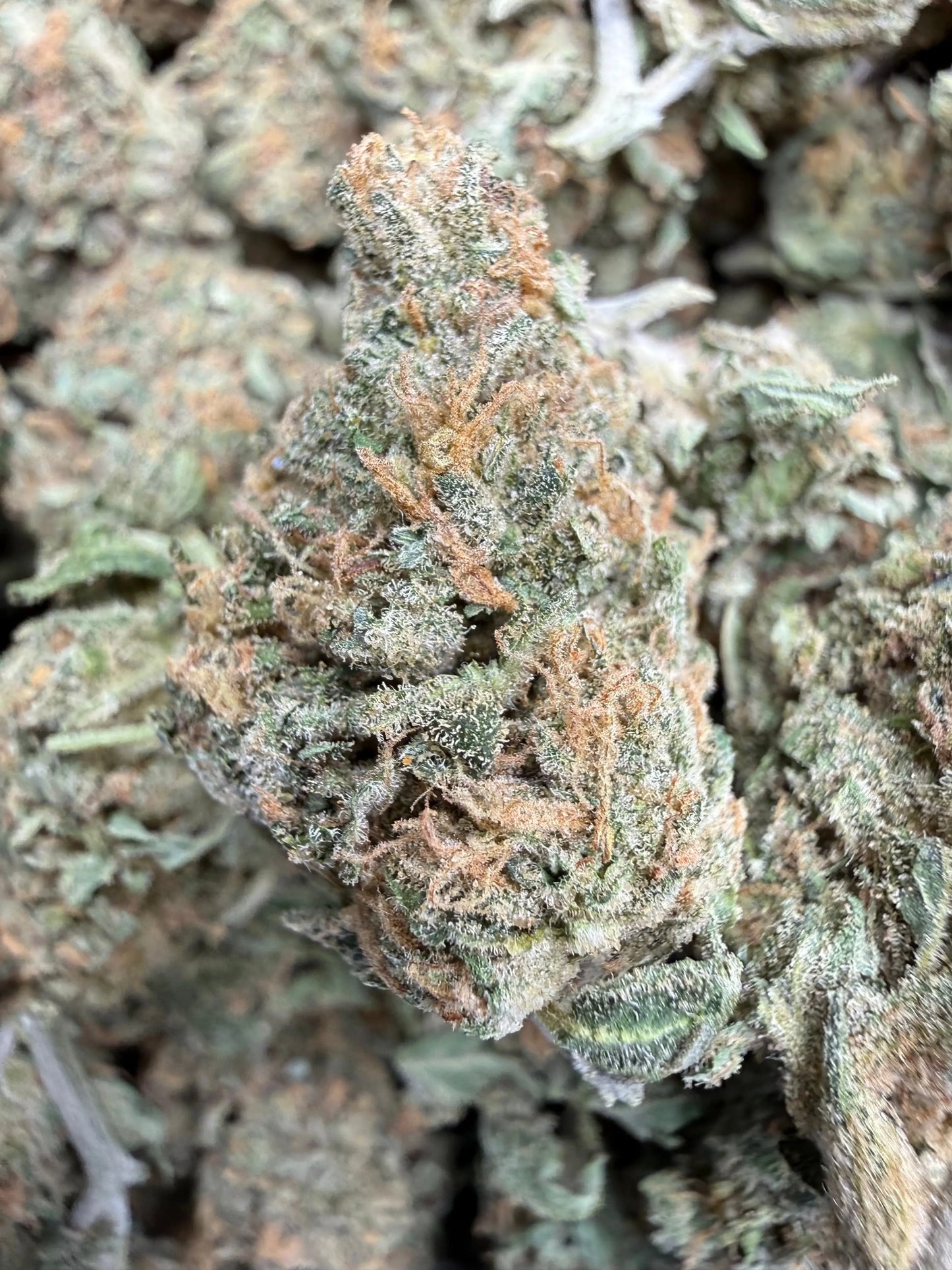 1 Pound - Dream Star THCA Strain Frisco Labs