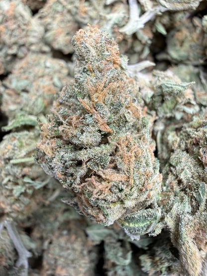 1 Pound - Dream Star THCA Strain Frisco Labs