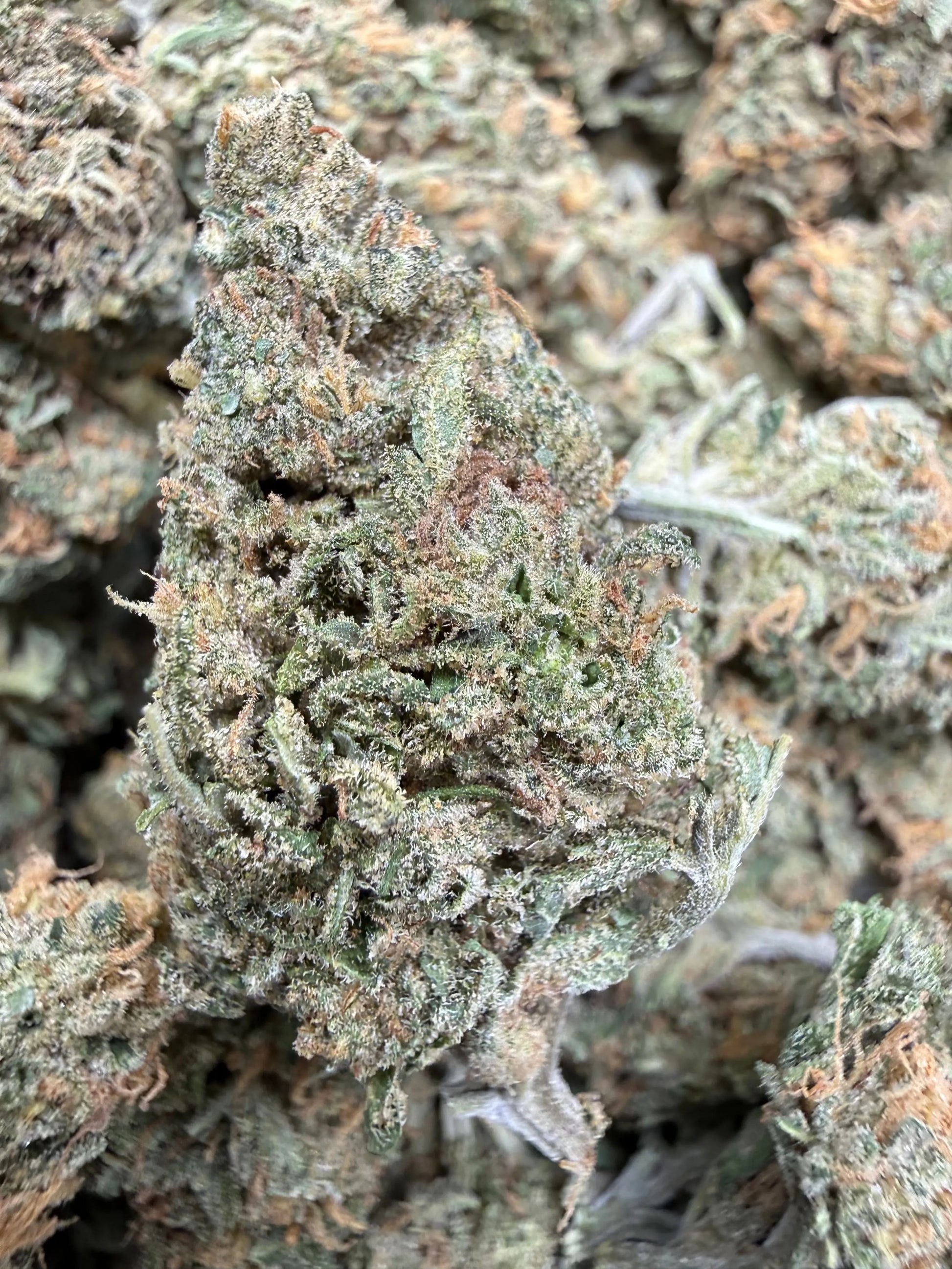 1 Pound - Dream Star THCA Strain Frisco Labs