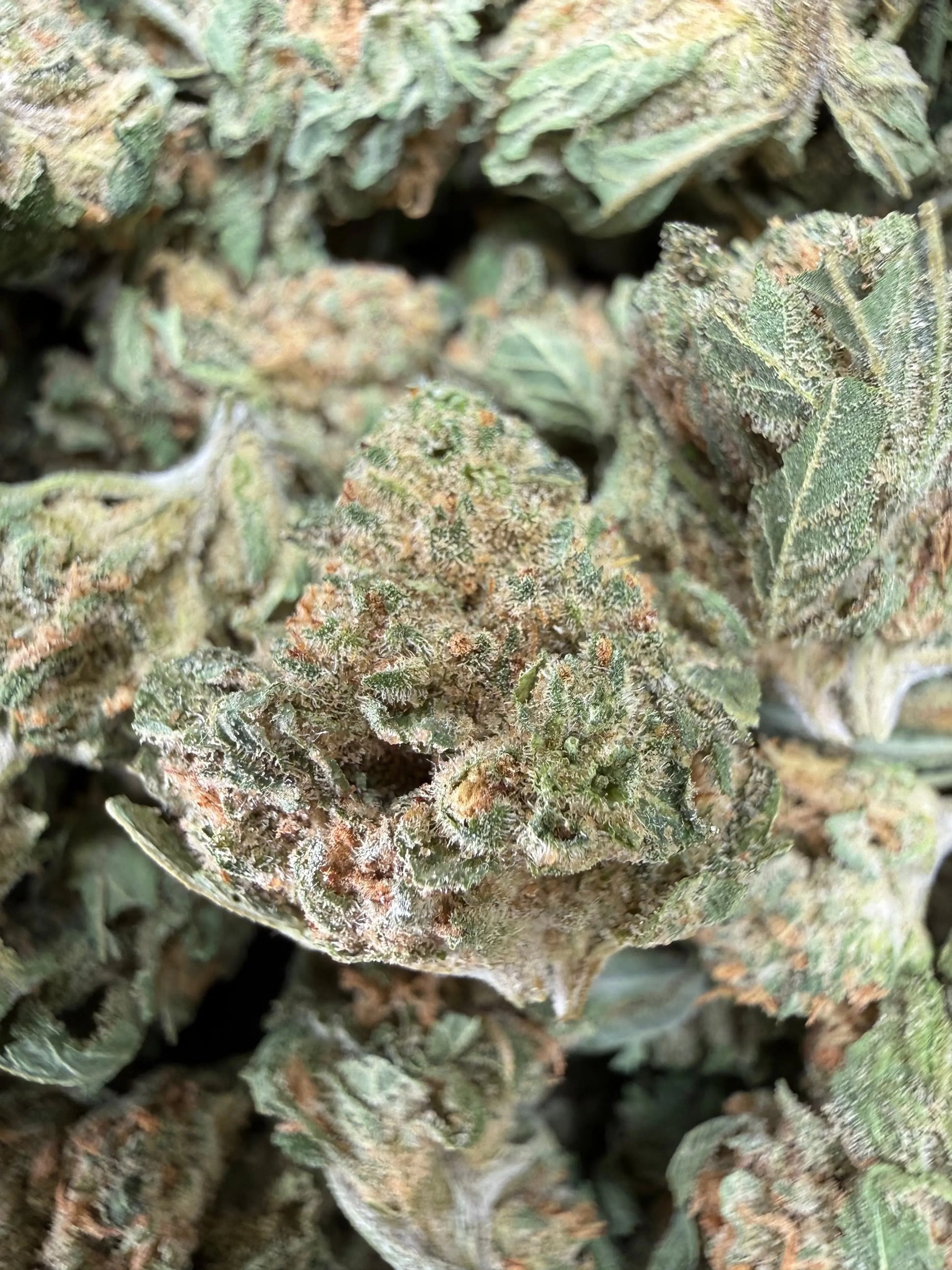 1 Pound - Dream Star THCA Strain (small) Frisco Labs