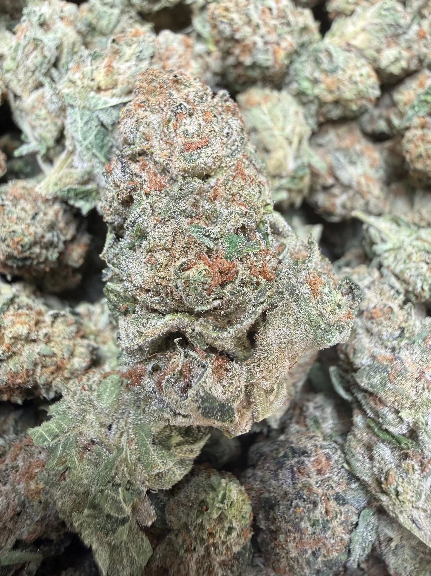 1 Pound -  Electro Lime THCA Strain Frisco Labs