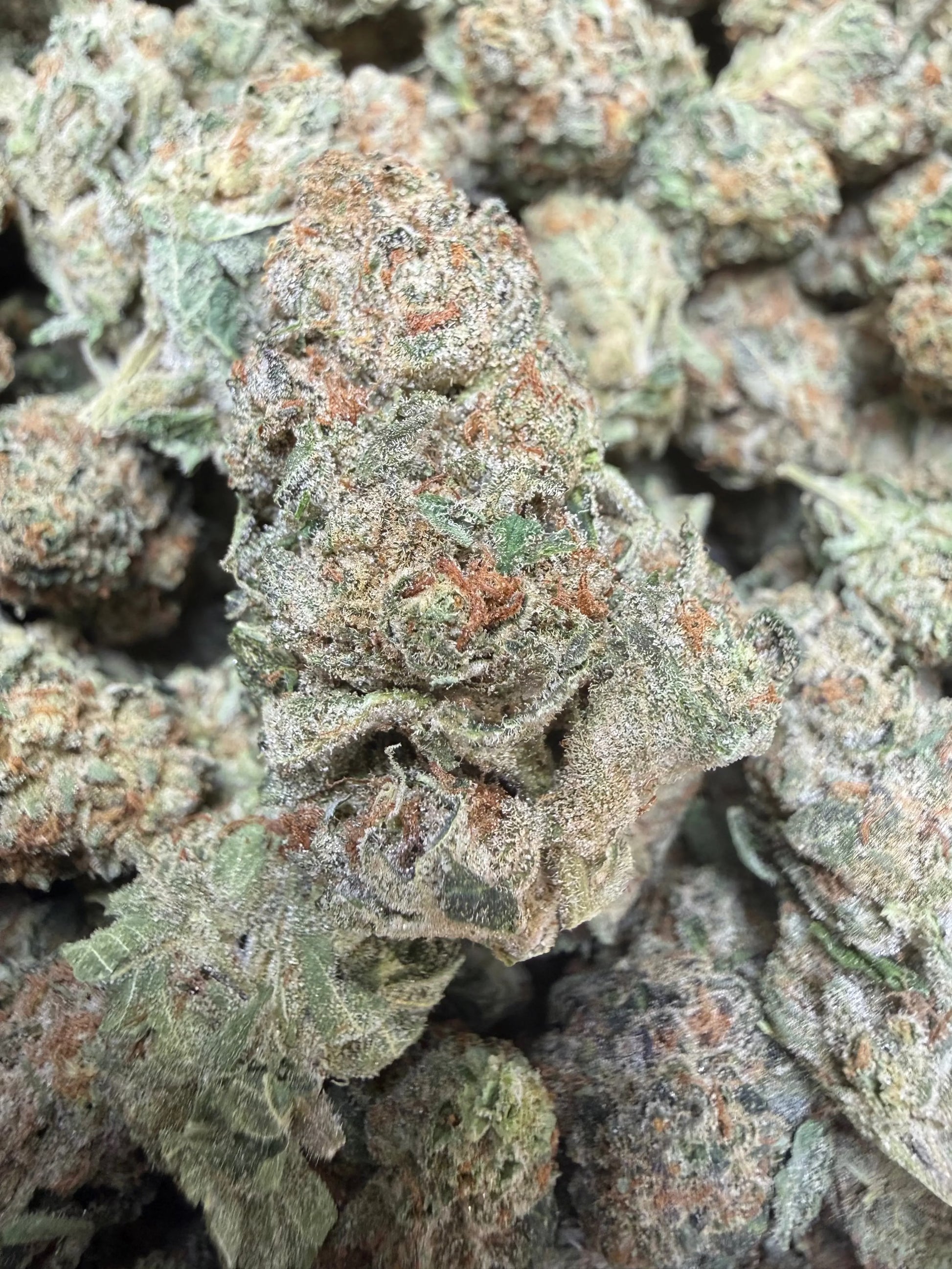 1 Pound -  Electro Lime THCA Strain Frisco Labs