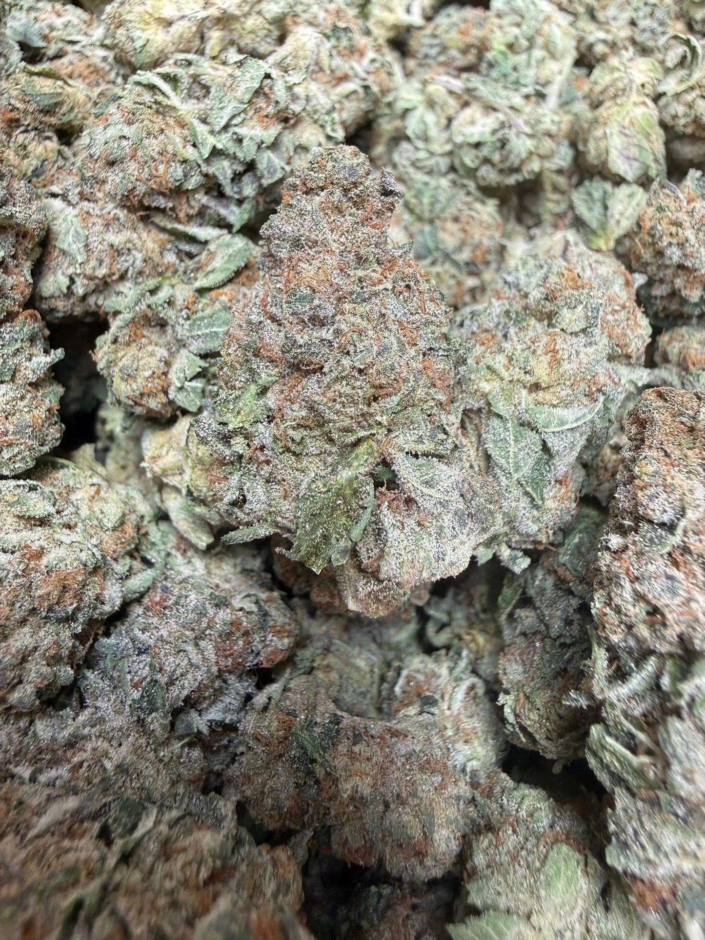 1 Pound -  Electro Lime THCA Strain Frisco Labs