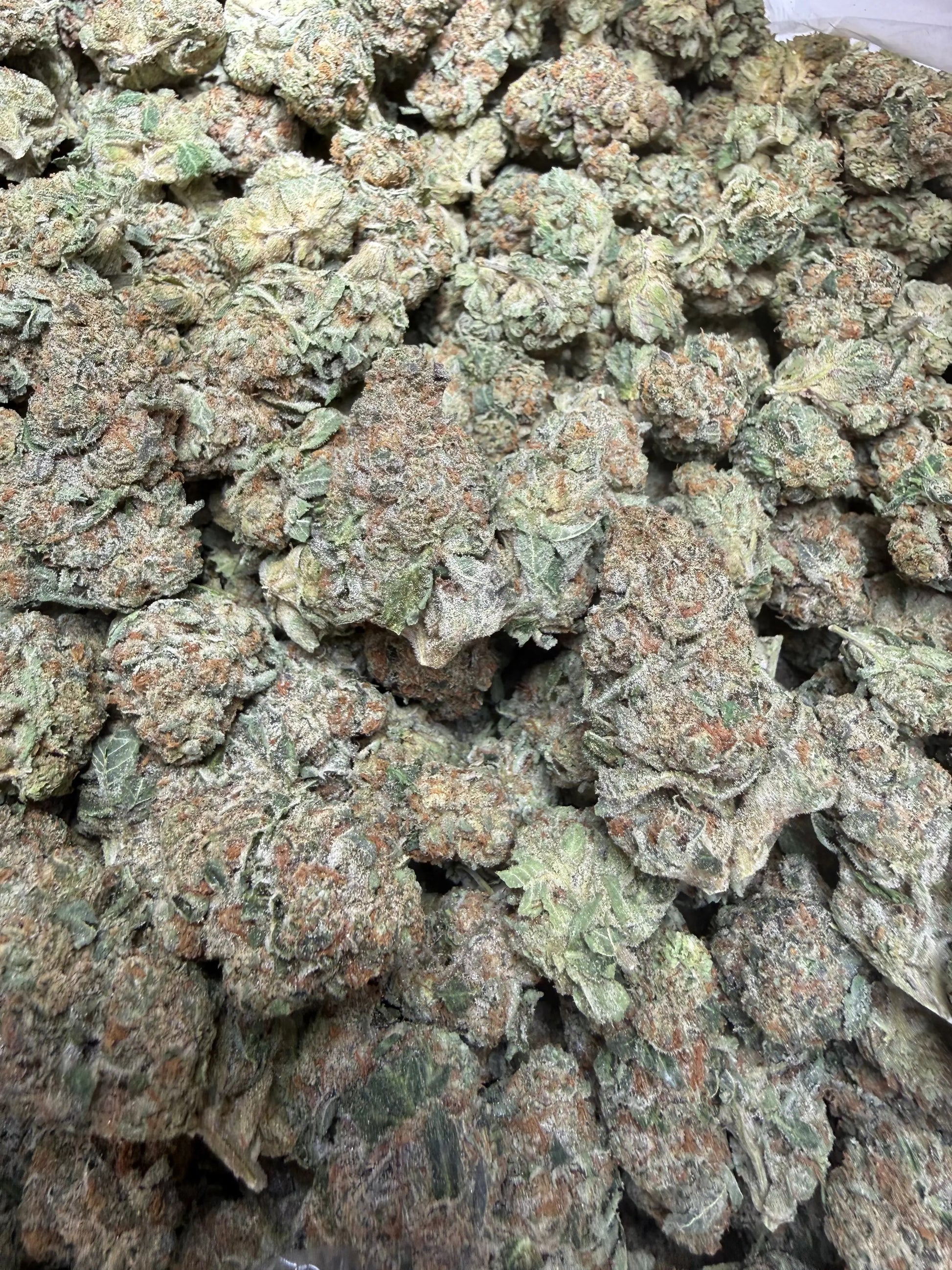 1 Pound -  Electro Lime THCA Strain Frisco Labs