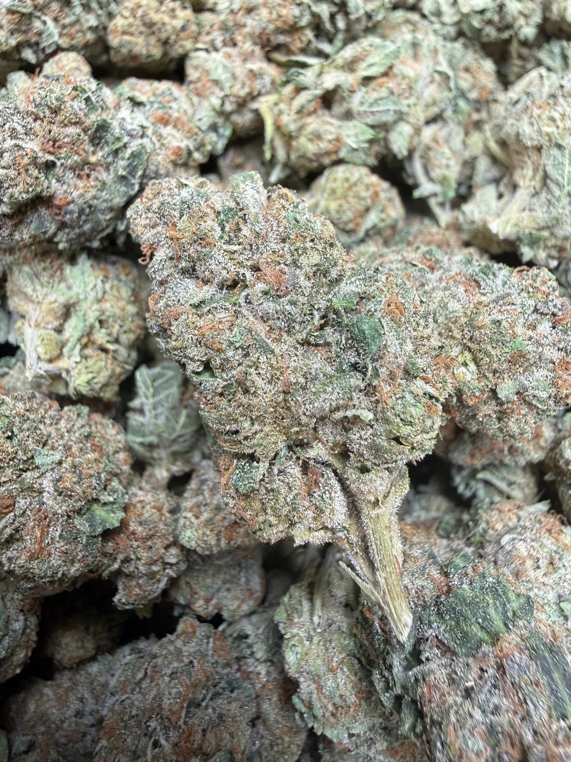 1 Pound -  Electro Lime THCA Strain Frisco Labs