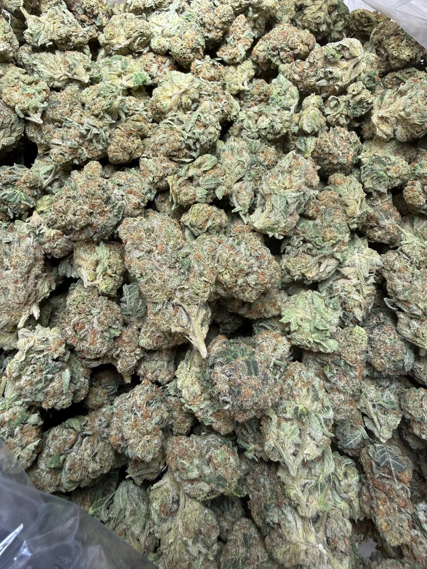 1 Pound -  Electro Lime THCA Strain Frisco Labs