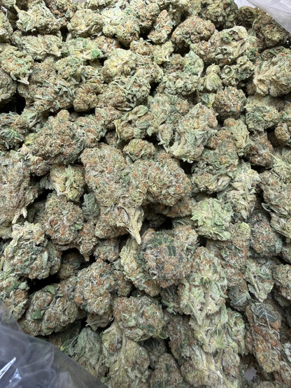 1 Pound -  Electro Lime THCA Strain Frisco Labs