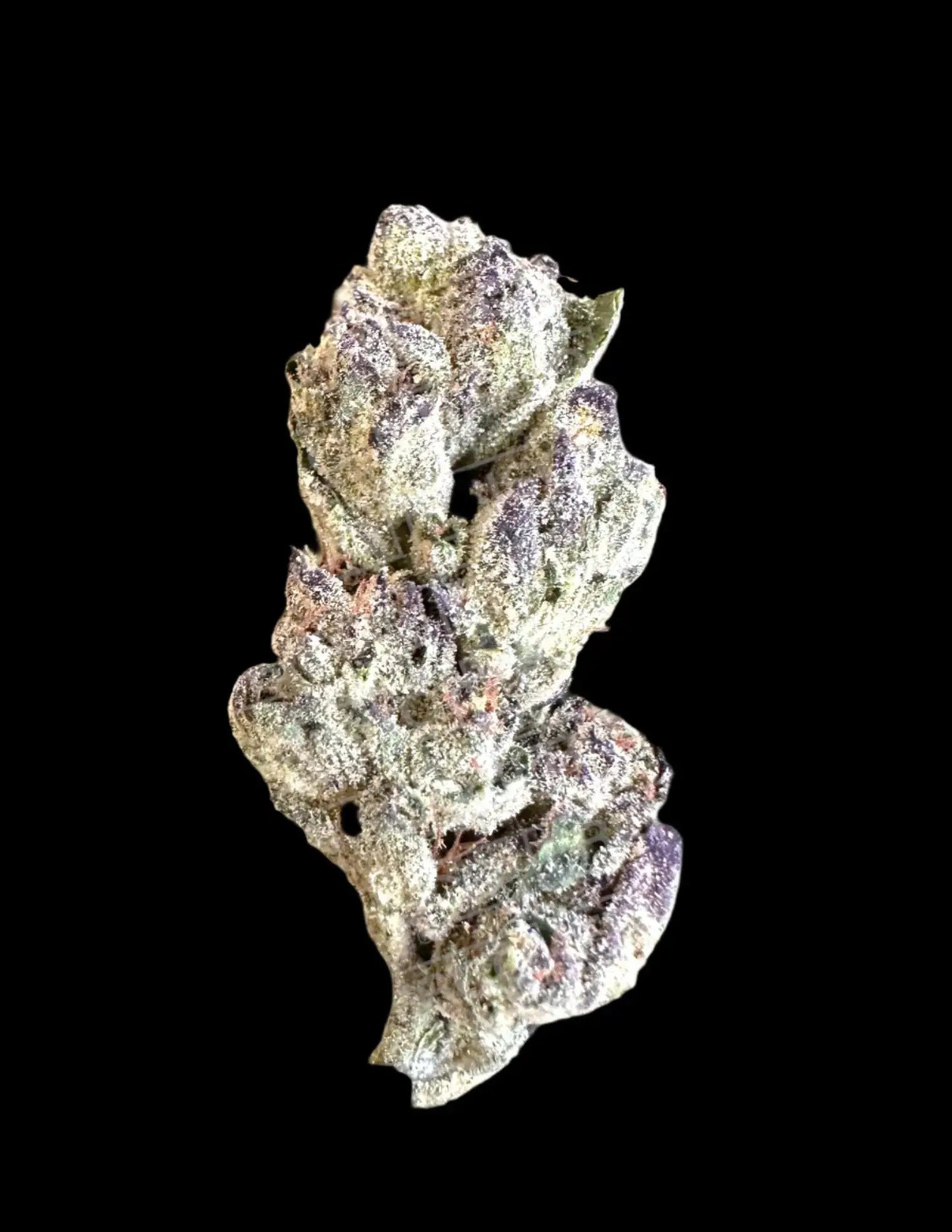 Frisco Labs - Exotic California Sherbert THCA 