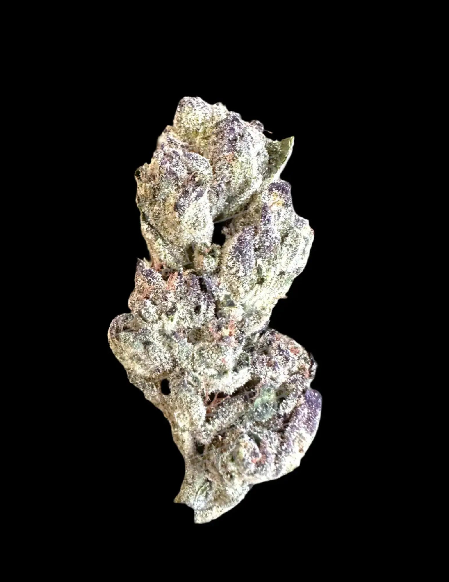 Frisco Labs - Exotic California Sherbert THCA 