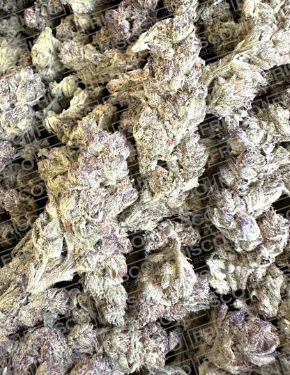 Frisco Labs - Exotic California Sherbert THCA 