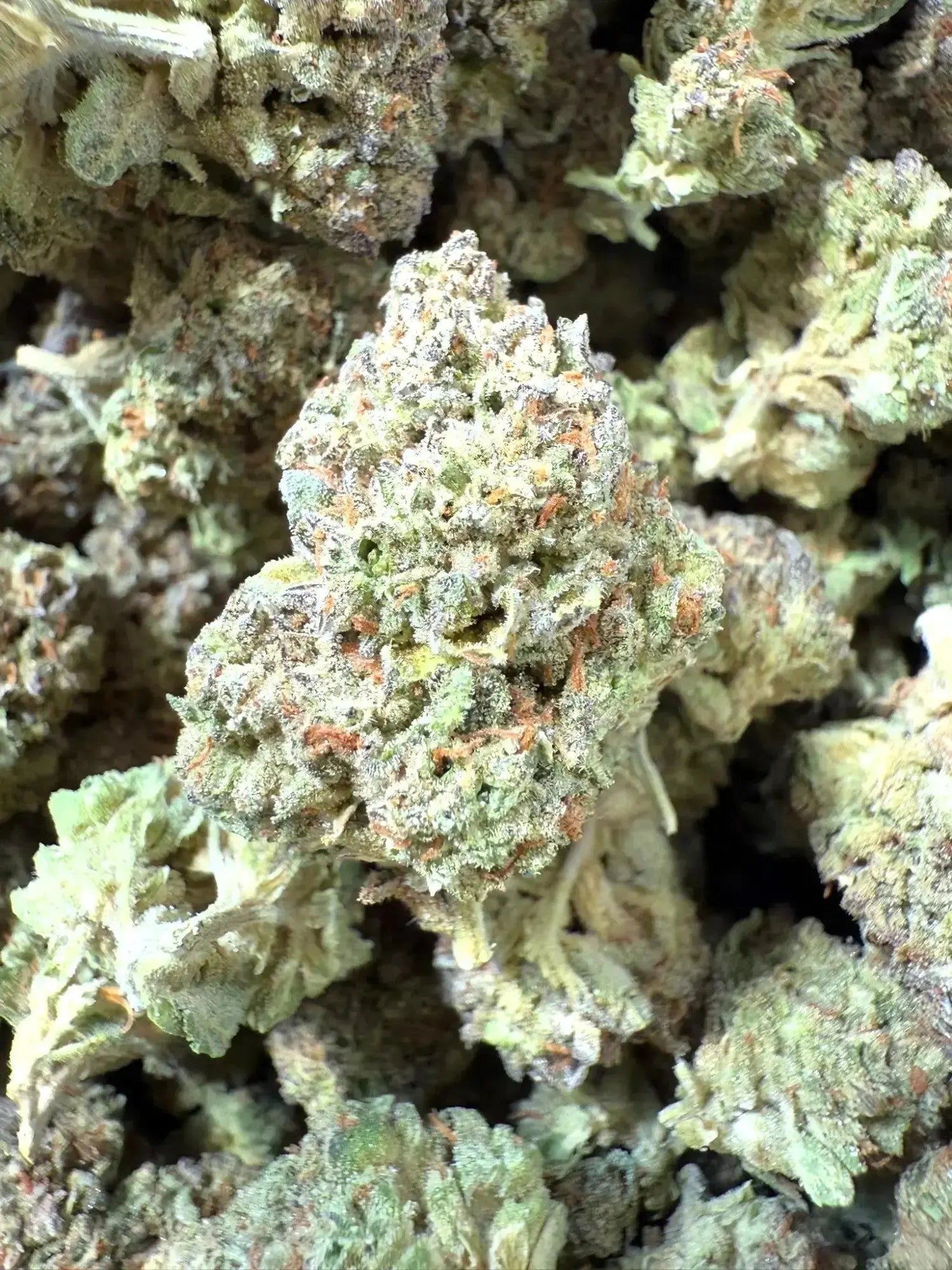 1 Pound - Exotic - Ice Cream Cake THCA Strain - FL Fulfillment Center