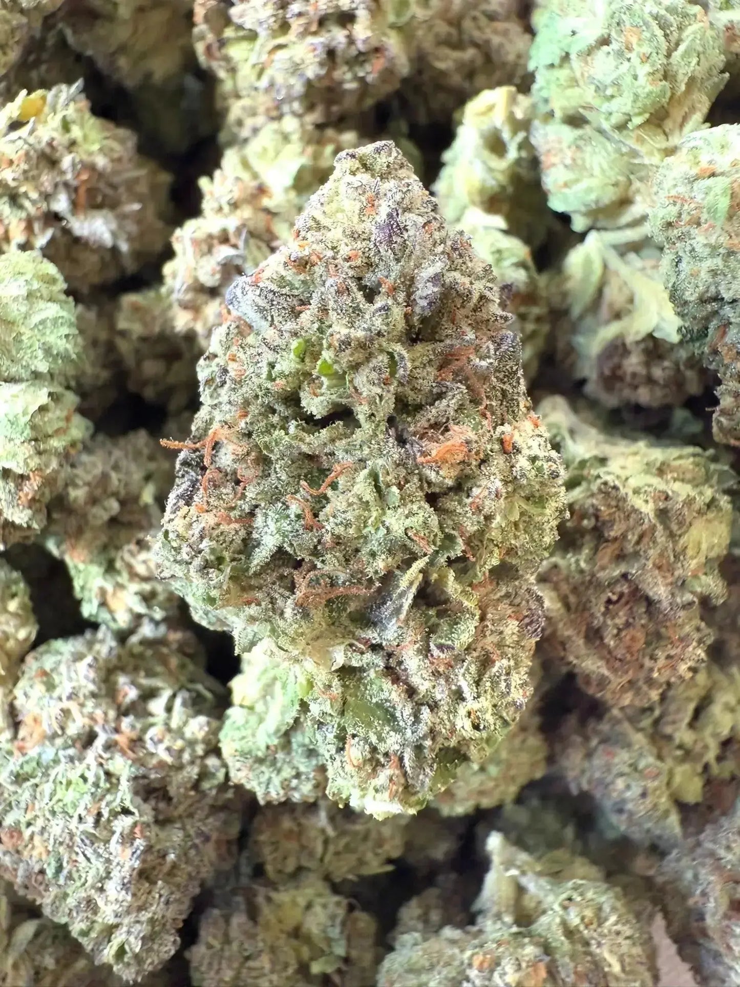 1 Pound - Exotic - Ice Cream Cake THCA Strain - FL Fulfillment Center