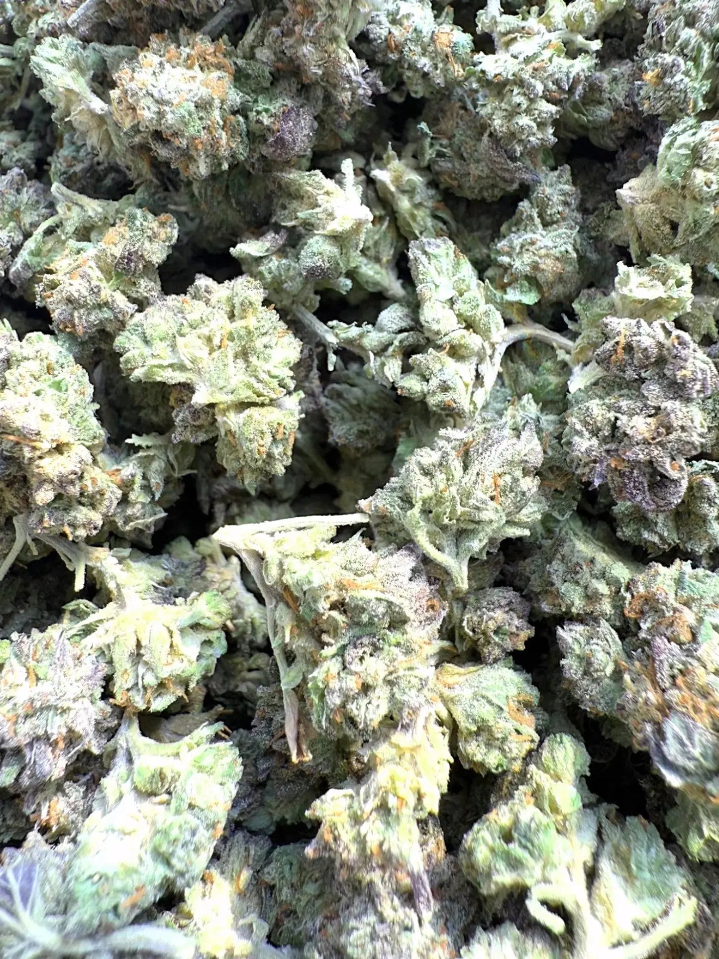 Frisco Labs - Exotic Indoor Gush Mints THCA Strain 