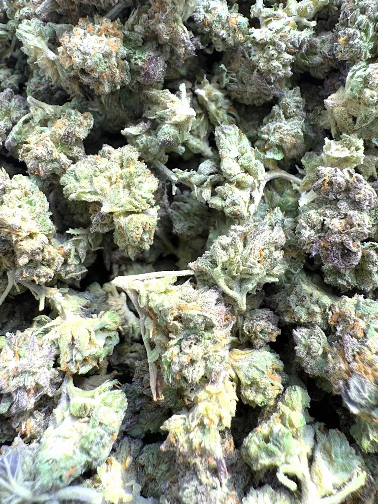 Frisco Labs - Exotic Indoor Gush Mints THCA Strain 