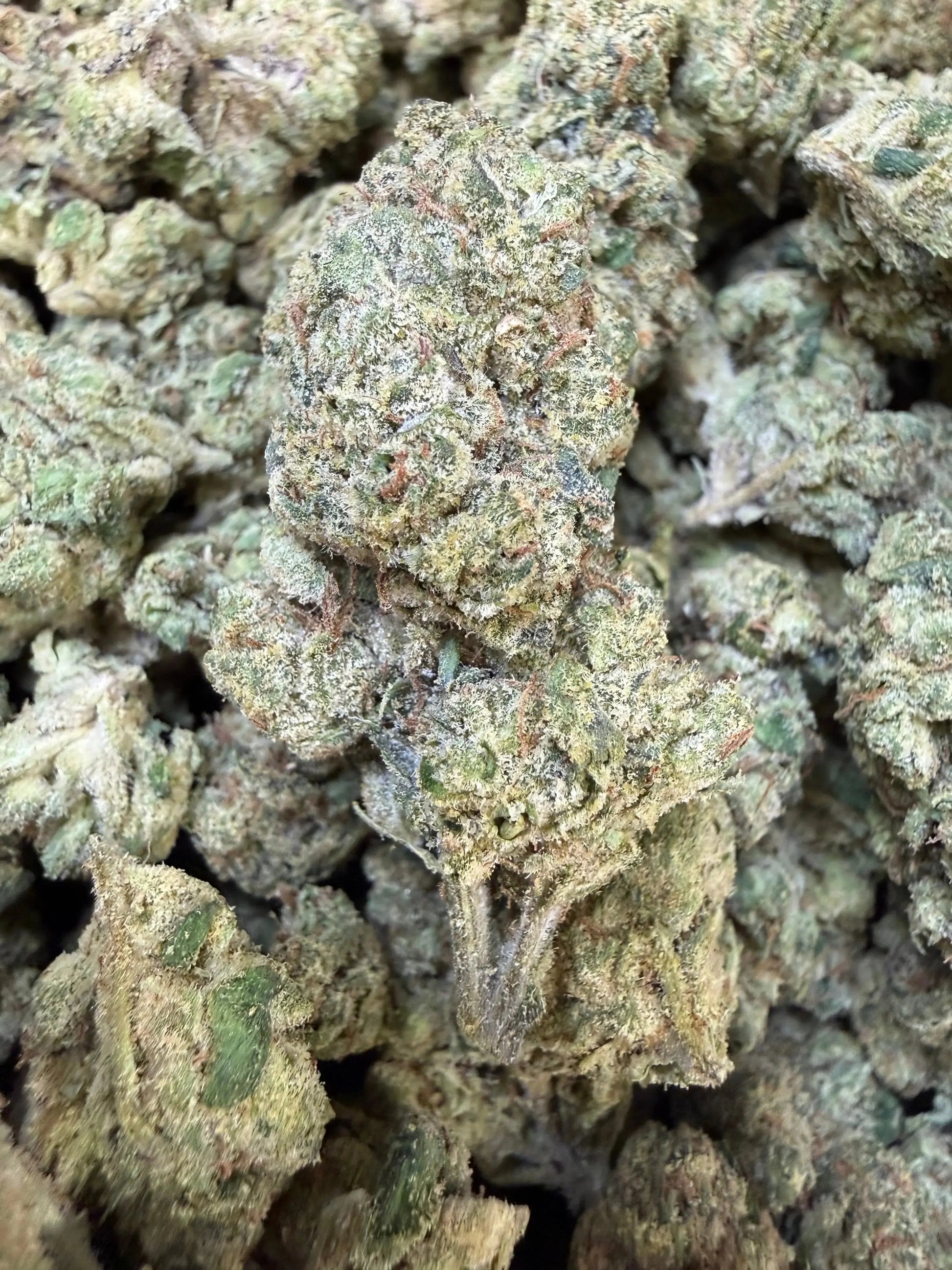 1 Pound - Purple Currency THCA Strain Frisco Labs