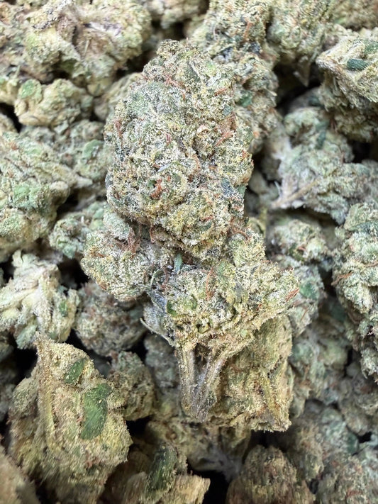 1 Pound - Purple Currency THCA Strain Frisco Labs