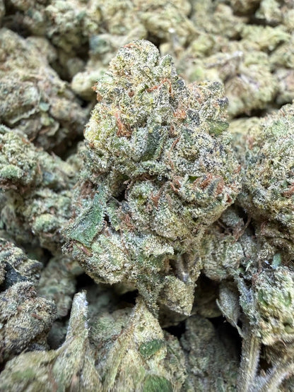 1 Pound - Purple Currency THCA Strain Frisco Labs