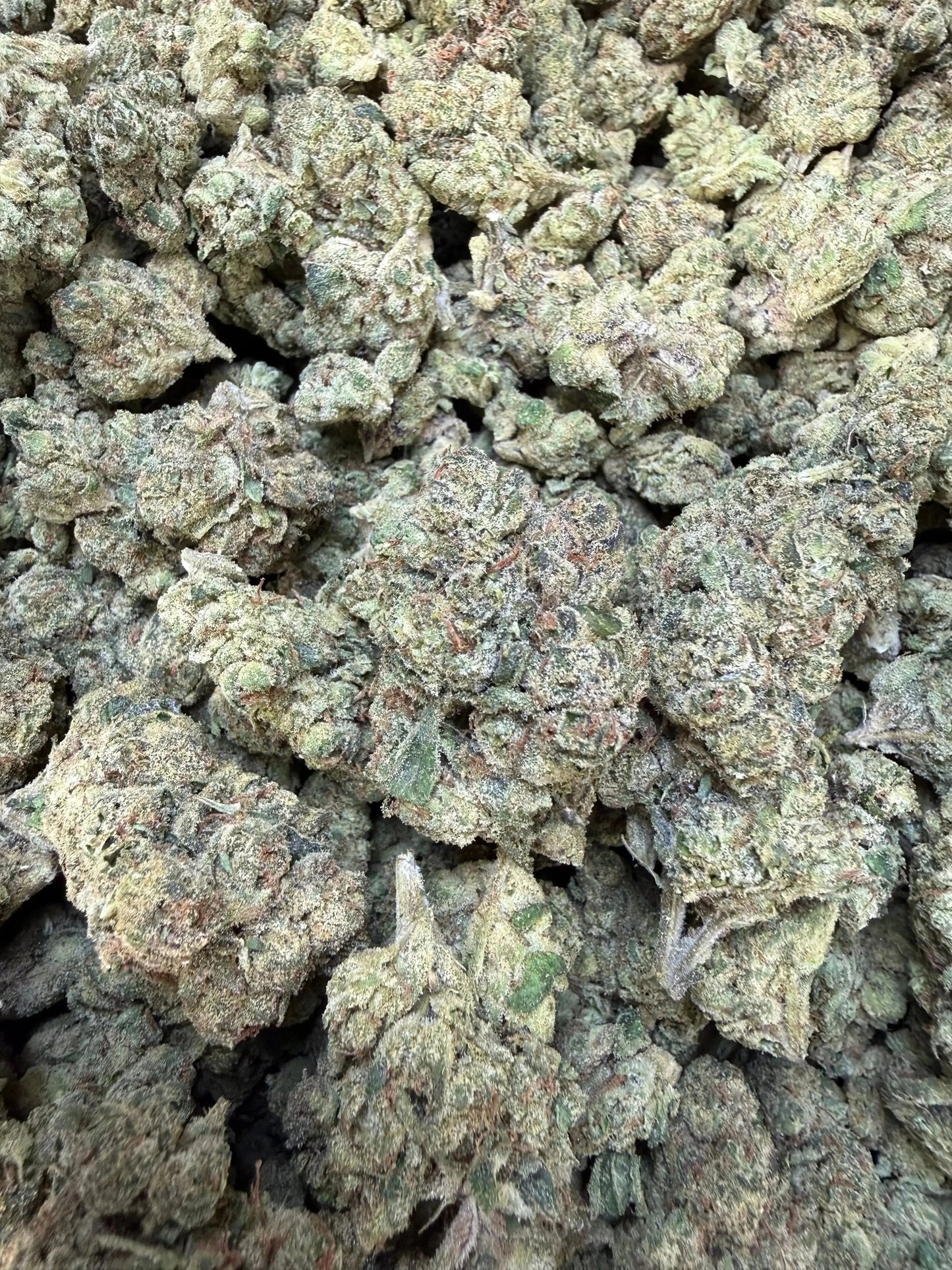 1 Pound - Purple Currency THCA Strain Frisco Labs