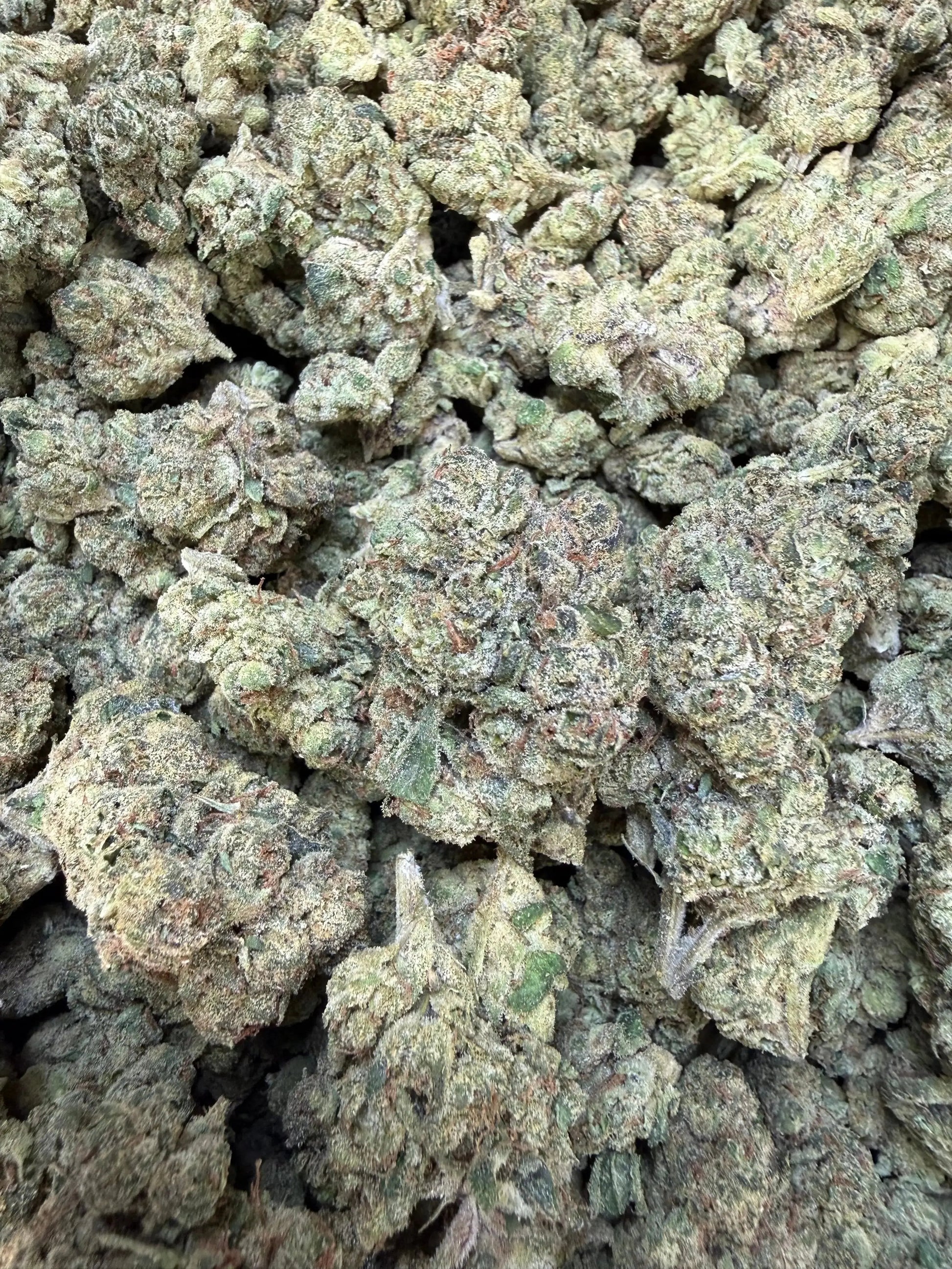 1 Pound - Purple Currency THCA Strain Frisco Labs