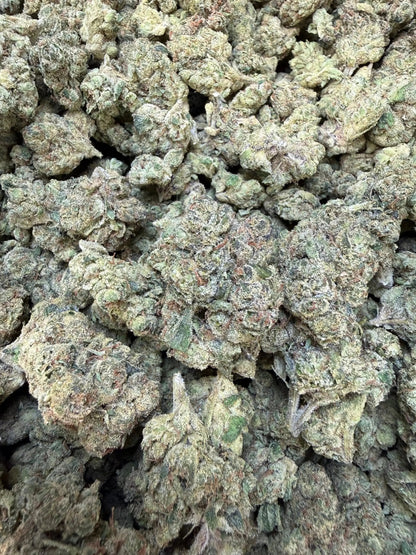 1 Pound - Purple Currency THCA Strain Frisco Labs