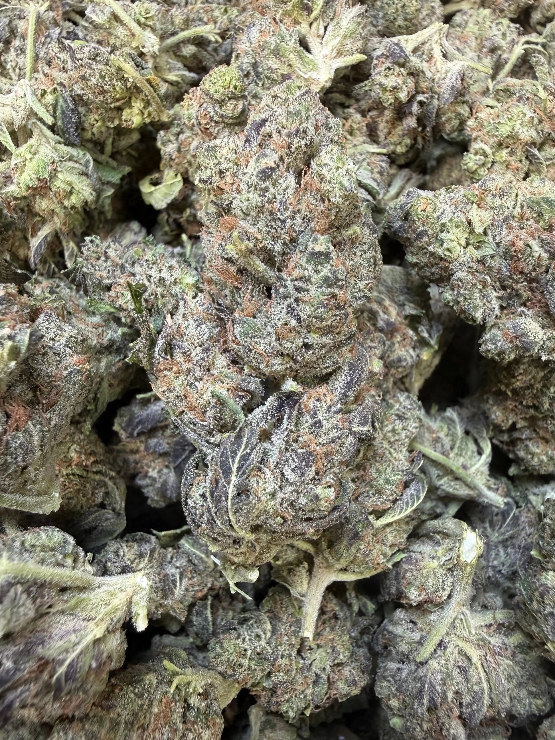 1 Pound - Federal Frost THCA Strain Frisco Labs