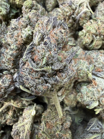 1 Pound - Federal Frost THCA Strain Frisco Labs