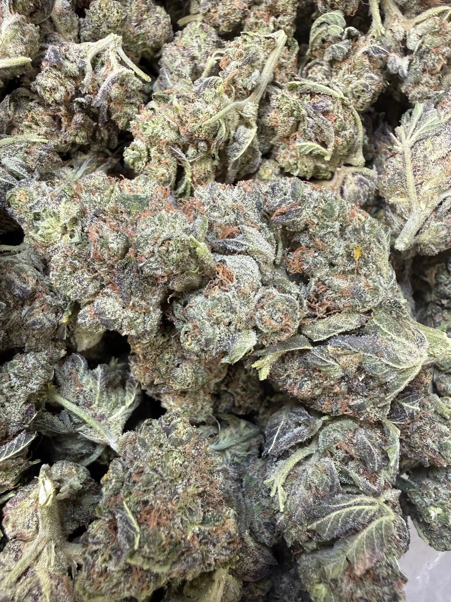 1 Pound - Federal Frost THCA Strain Frisco Labs