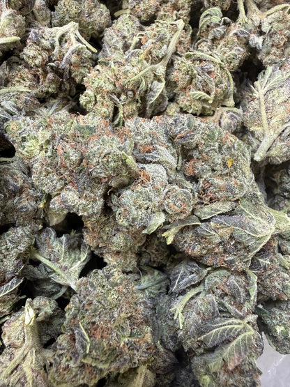 1 Pound - Federal Frost THCA Strain Frisco Labs