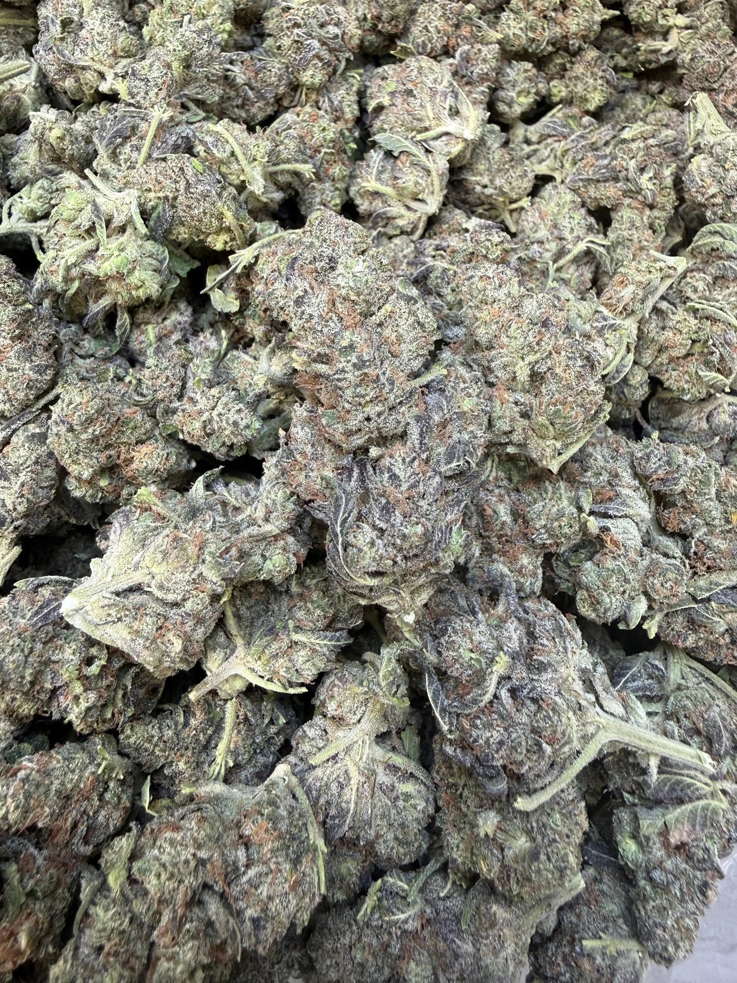 1 Pound - Federal Frost THCA Strain Frisco Labs