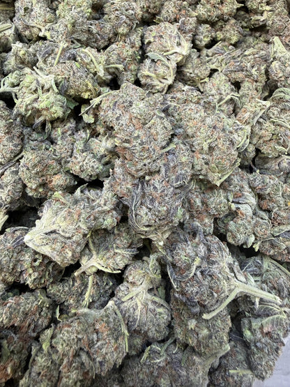 1 Pound - Federal Frost THCA Strain Frisco Labs