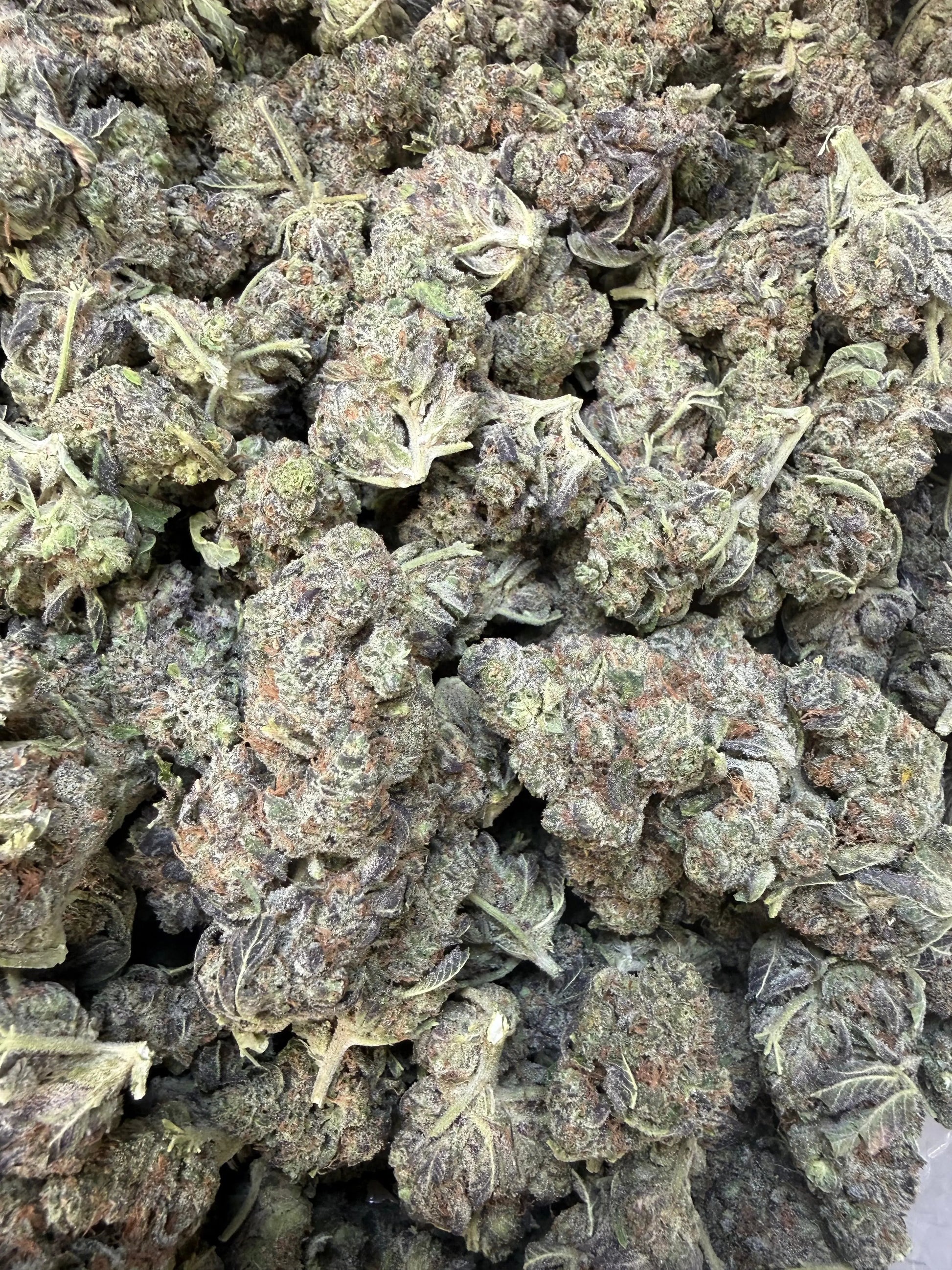 1 Pound - Federal Frost THCA Strain Frisco Labs