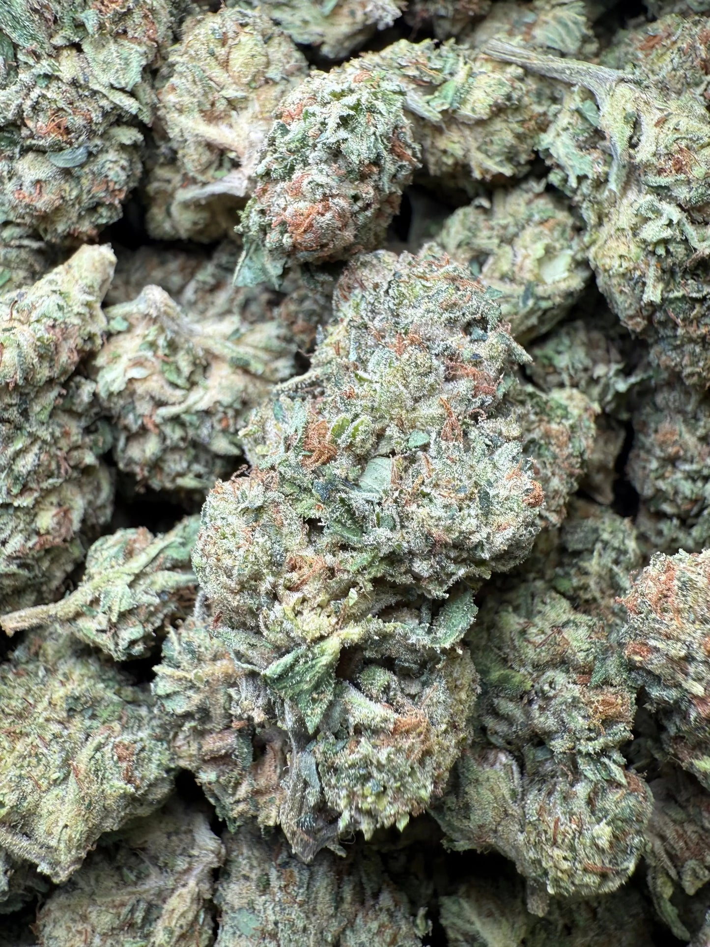 1 Pound - Frosted Fruit Cake THCA Strain s Frisco Labs