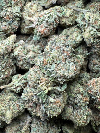 1 Pound - Frosted Fruit Cake THCA Strain s Frisco Labs