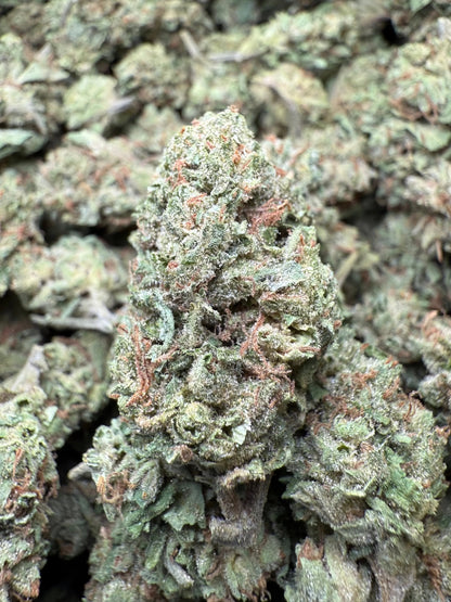 1 Pound - Frosted Fruit Cake THCA Strain s Frisco Labs