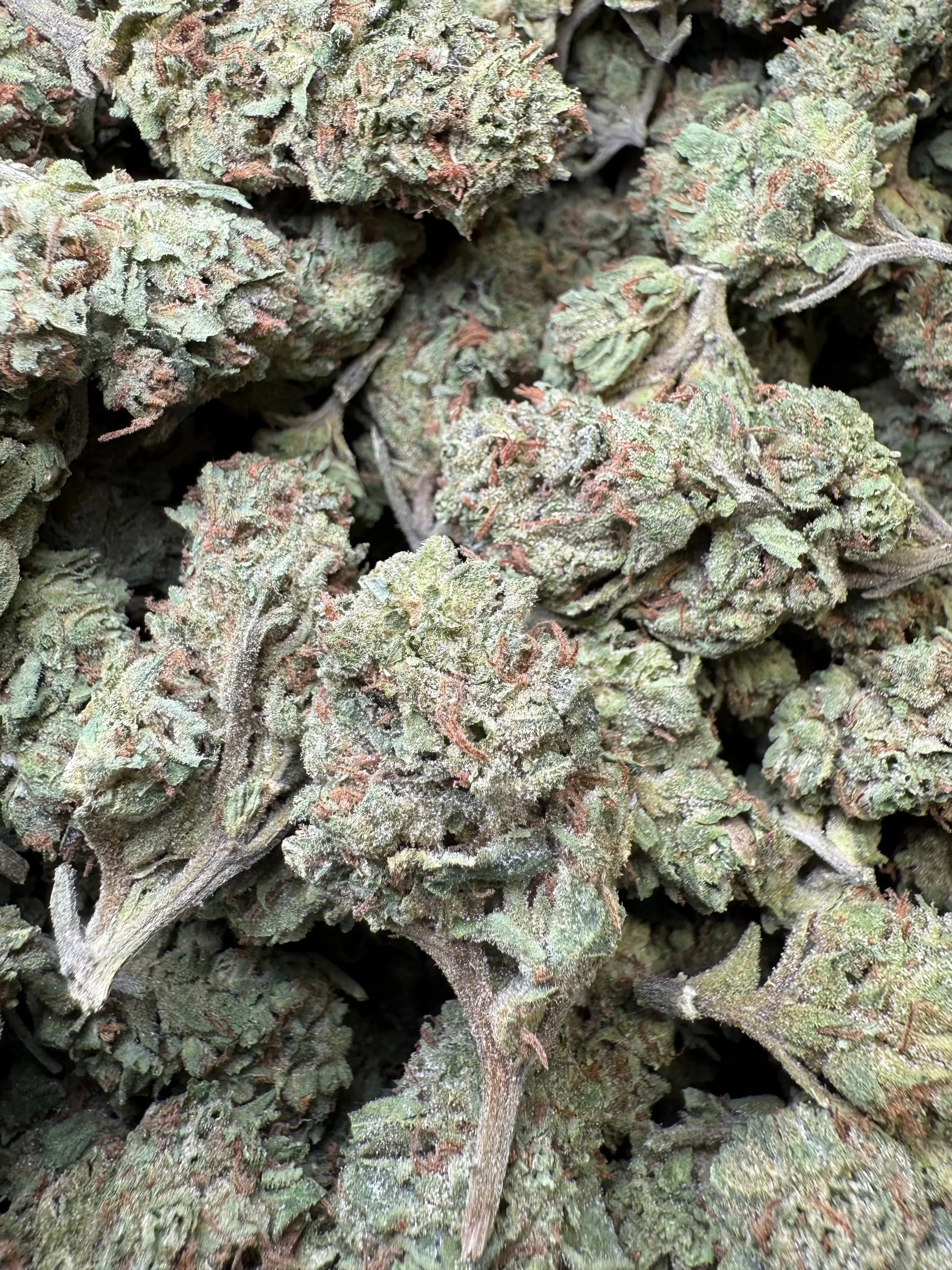 1 Pound - Frosted Fruit Cake THCA Strain s Frisco Labs