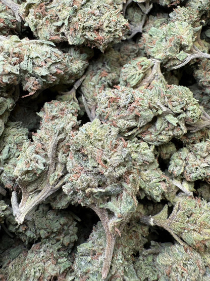 1 Pound - Frosted Fruit Cake THCA Strain s Frisco Labs